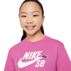 Nike SB Big Kids&#39; T-Shirt Alchemy Pink