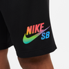 Nike SB Be True Sunday Shorts Black