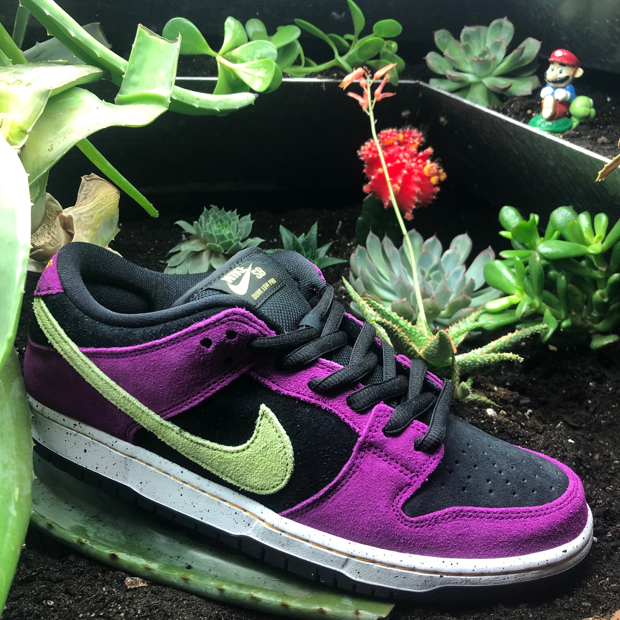 Nike SB ACG Terra Red Plum Dunk Drawing