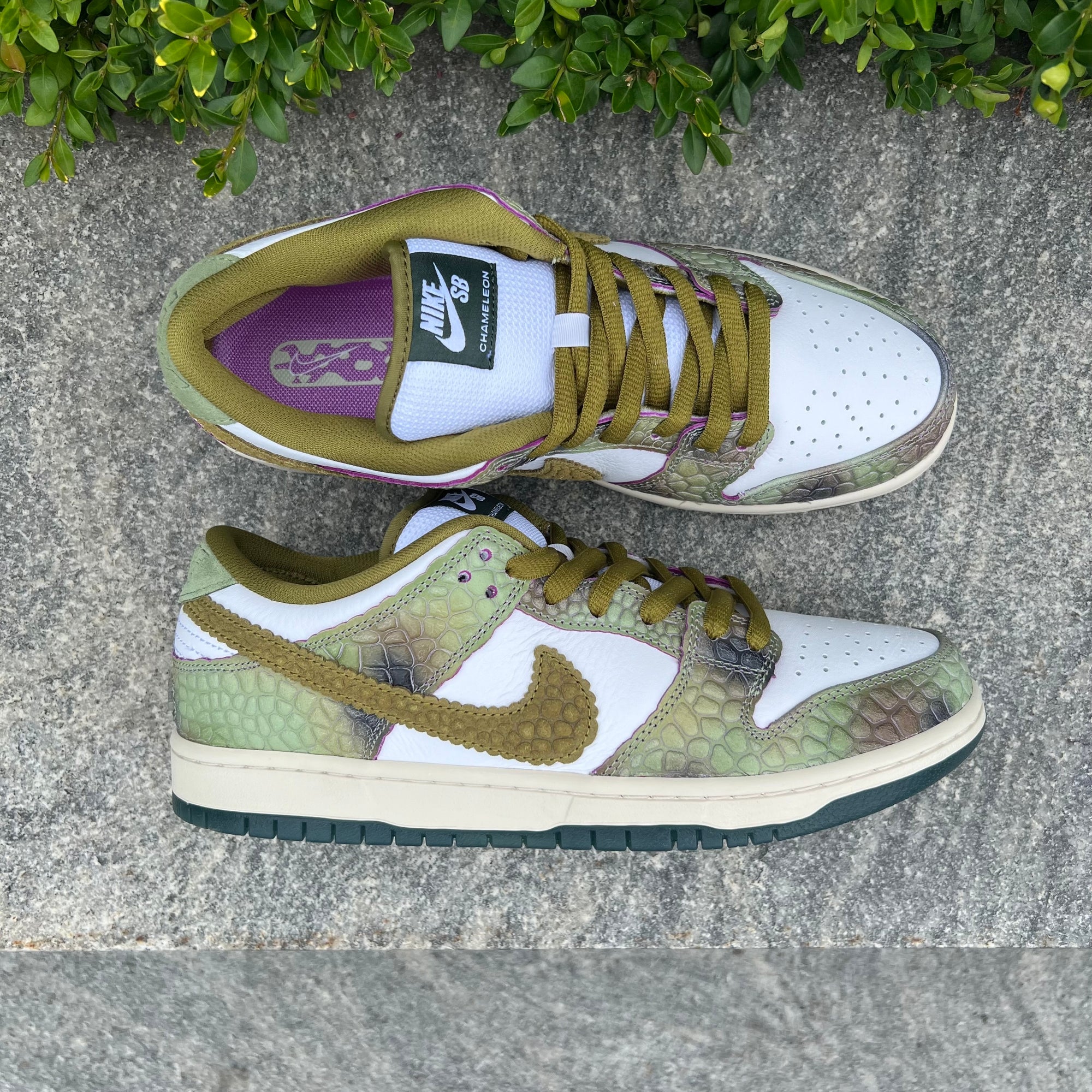 Nike SB Alexis Sablone Chameleon Dunk Raffle