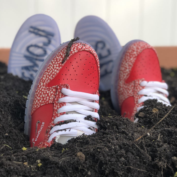 Nike SB x Stingwater "Magic Mushroom" Dunk Low Drawing