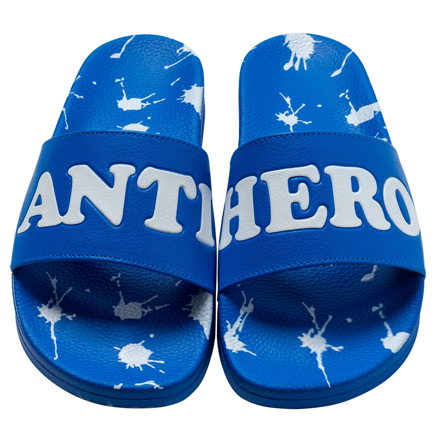 Antihero Damn You Slides Blue