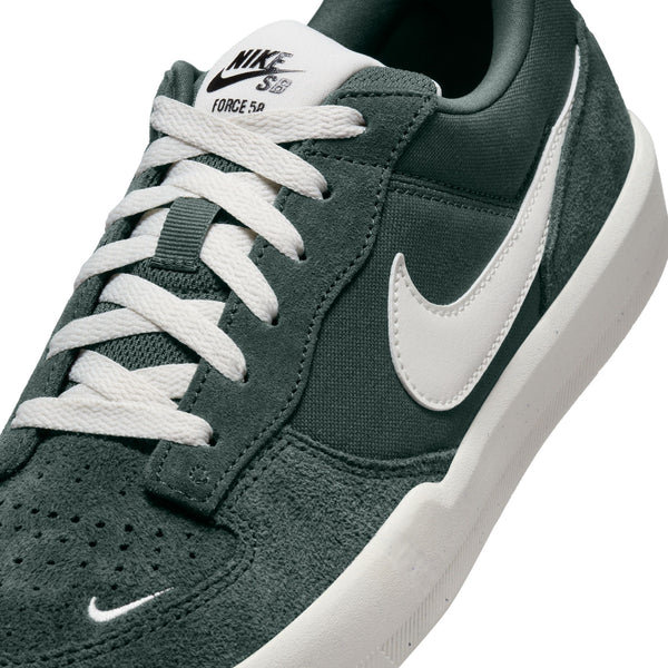nike dunk force