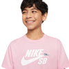 Nike SB Big Kids&#39; T-Shirt Medium Pink