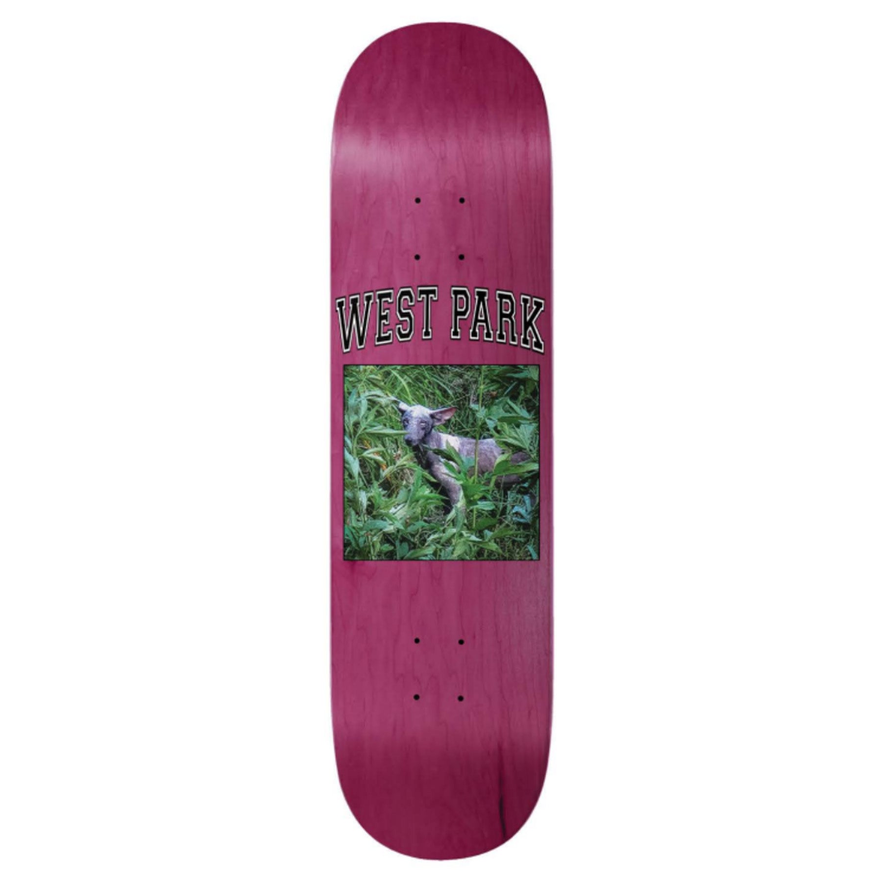 Limosine Aaron Loreth Angel Deck 8.38"