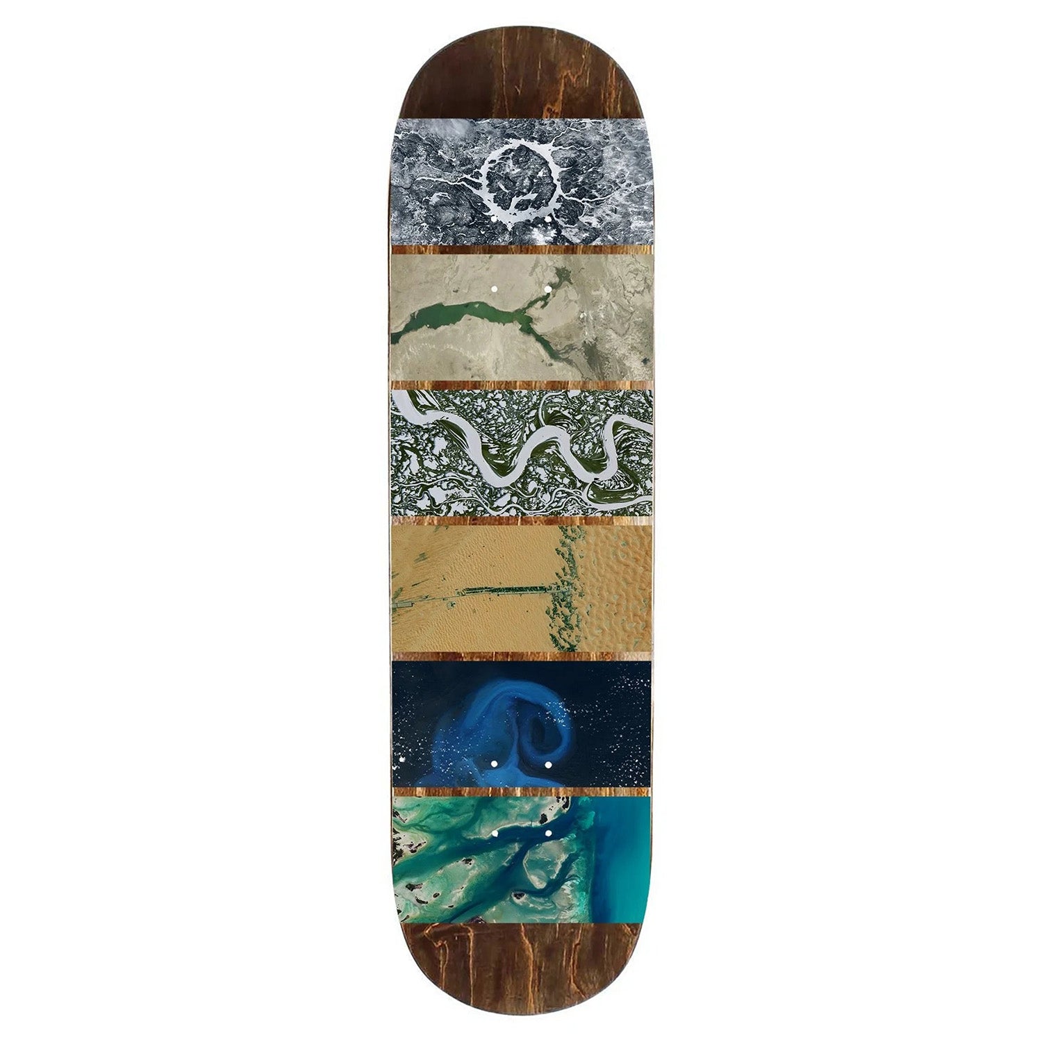 Oyster Land Graphic Deck 7.75"