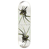 Polar Skate Co. David Strenstöm Spider Deck 8.0&quot; Short WB