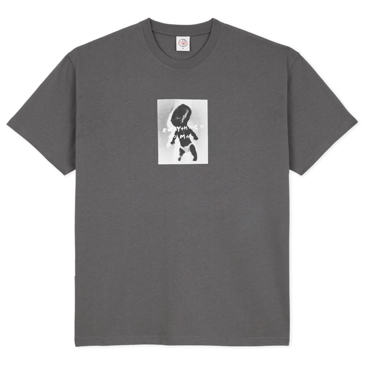 Polar Skate Co. Everything Is Normal Tee Graphite