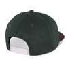 Polar Skate Co Jake Cap Dreams Jade Green/Brown