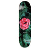 Polar Nick Boserio Amaryllis Deck 8.375&quot;