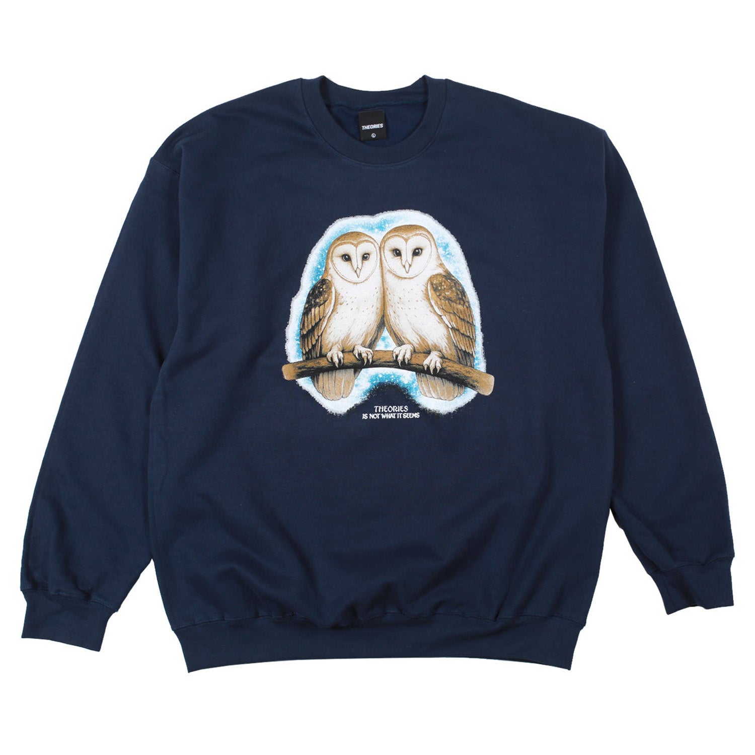 Theories Not What They Seem Crewneck Navy