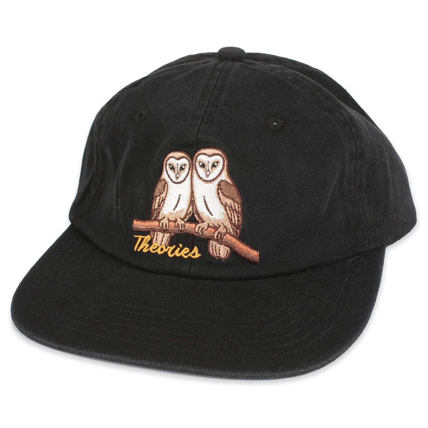 Theories Not What They Seem Strapback Hat Black