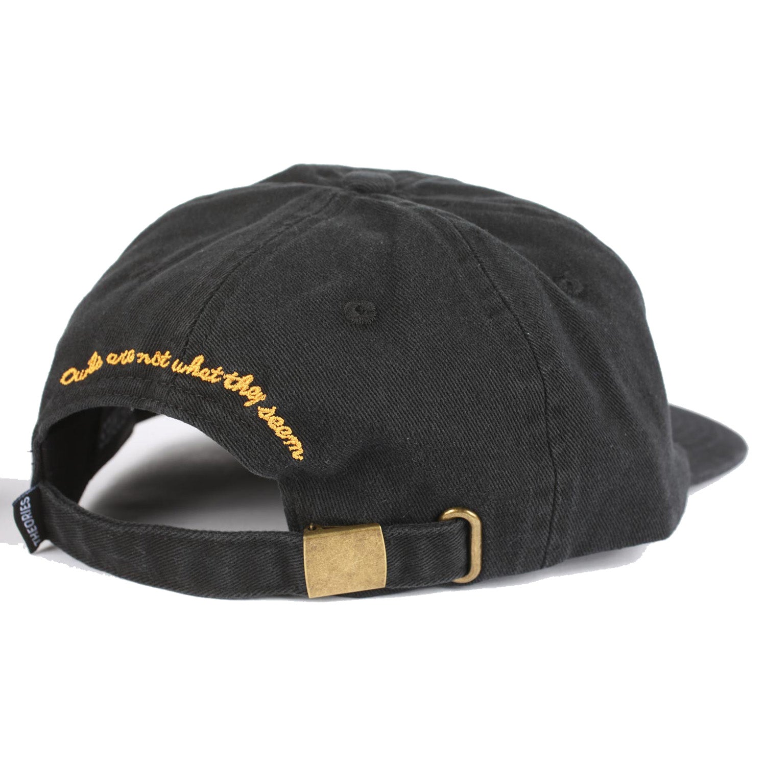 Theories Not What They Seem Strapback Hat Black