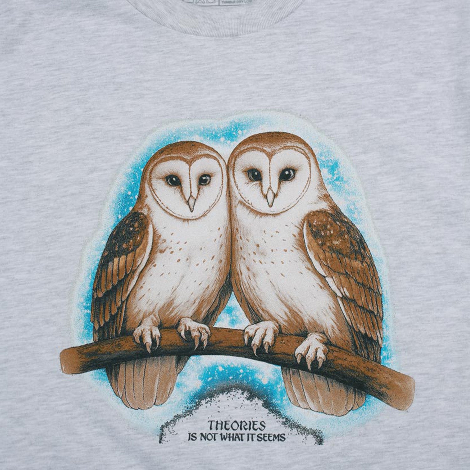 Theories Not What They Seem Tee Ash