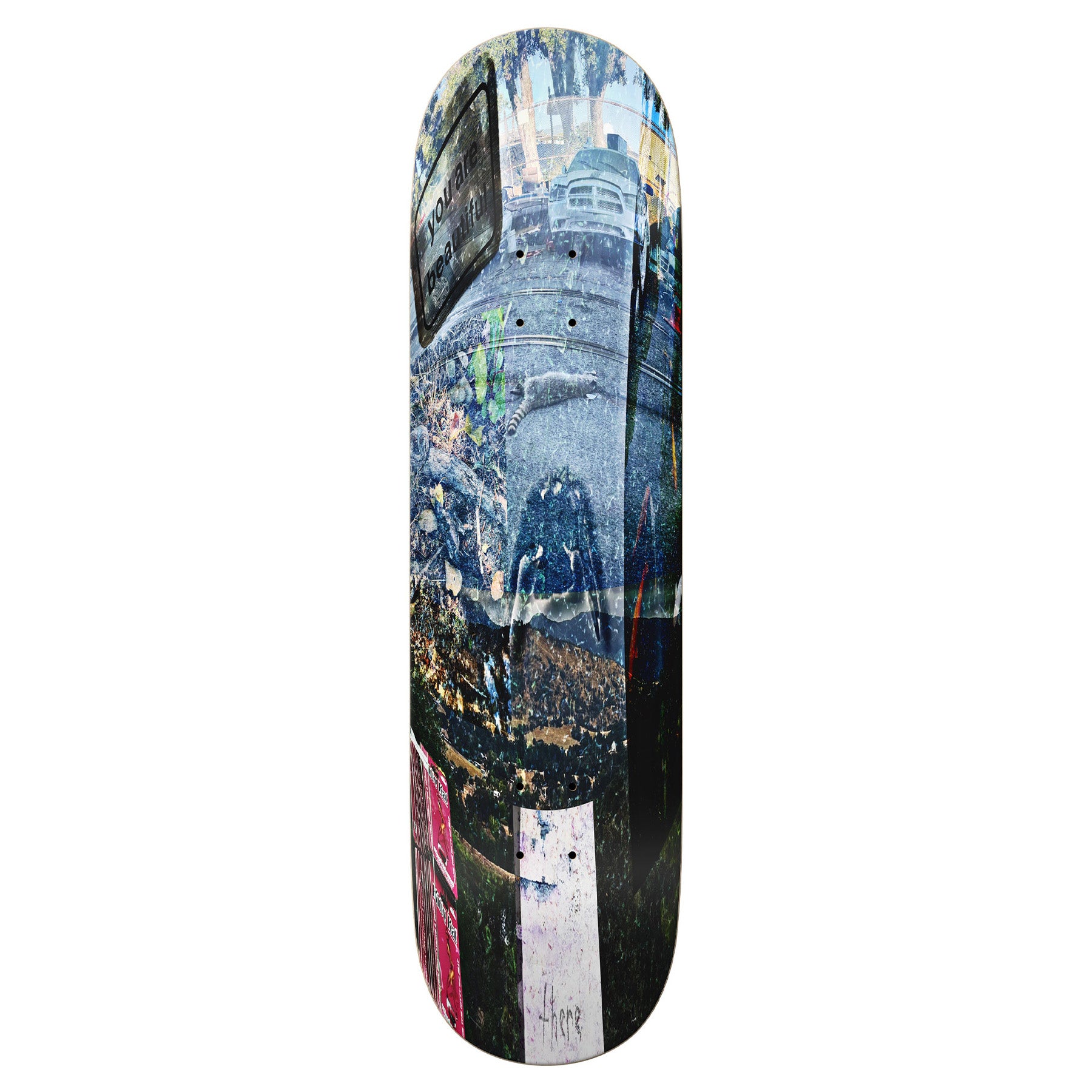 There Circle Of Life Team Deck 8.25"