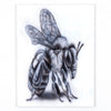 Window Seat Studio Works BEE Tee By Brock Saunders