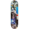 Polar Everything is Normal B Deck 8.25&quot;