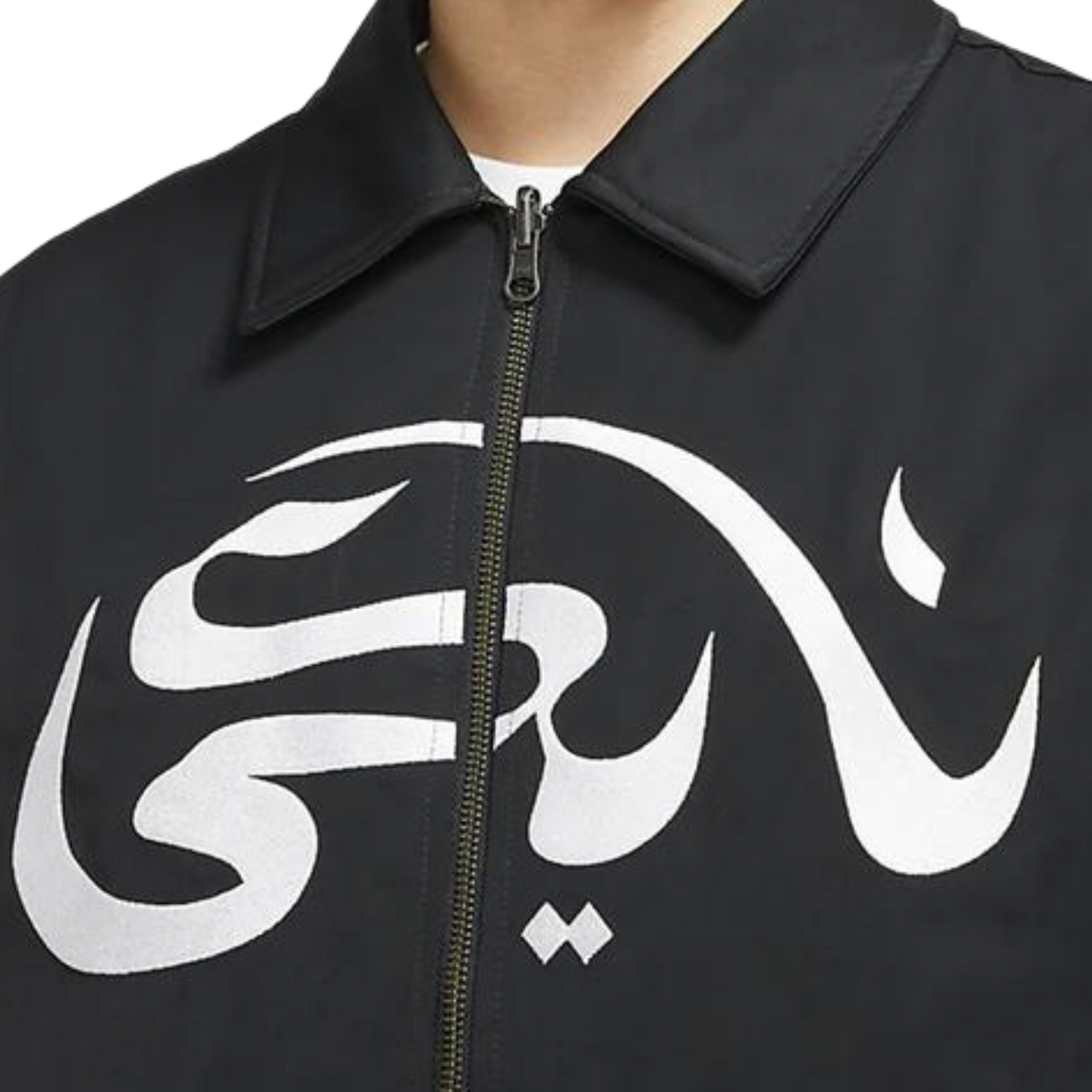 Nike SB X Carpet Company QS Jacket